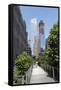 High Line Park on old train tracks above the ground. Manhattan. New York-Tom Norring-Framed Stretched Canvas