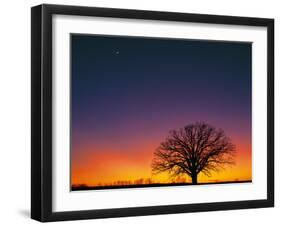 High Moon-Contemporary Photography-Framed Giclee Print