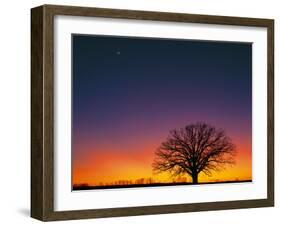 High Moon-Contemporary Photography-Framed Giclee Print