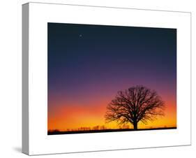 High Moon-Contemporary Photography-Stretched Canvas