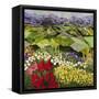 High Mountain Patch-Allan P. Friedlander-Framed Stretched Canvas