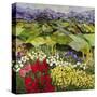 High Mountain Patch-Allan P. Friedlander-Stretched Canvas