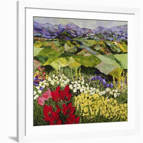 High Mountain Patch-Allan P. Friedlander-Framed Art Print