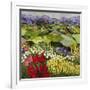 High Mountain Patch-Allan P. Friedlander-Framed Art Print