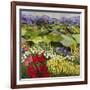 High Mountain Patch-Allan P. Friedlander-Framed Art Print