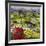 High Mountain Patch-Allan P. Friedlander-Framed Art Print