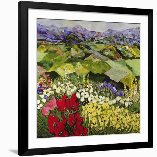 High Mountain Patch-Allan P. Friedlander-Framed Art Print