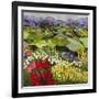 High Mountain Patch-Allan P. Friedlander-Framed Art Print