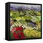 High Mountain Patch-Allan P. Friedlander-Framed Stretched Canvas