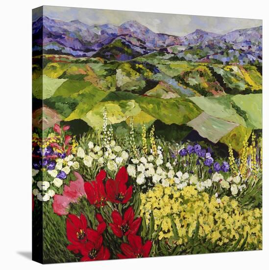 High Mountain Patch-Allan P. Friedlander-Stretched Canvas