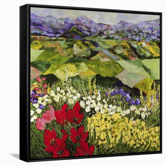 High Mountain Patch-Allan P. Friedlander-Framed Stretched Canvas