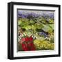 High Mountain Patch-Allan P. Friedlander-Framed Art Print