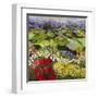 High Mountain Patch-Allan P. Friedlander-Framed Art Print