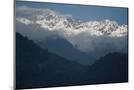 Wood Mount