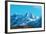 High Mountains Covered by Snow-Vakhrushev Pavel-Framed Photographic Print