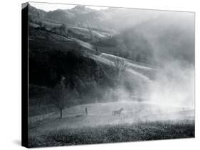 High Pasture-Andrew Geiger-Stretched Canvas