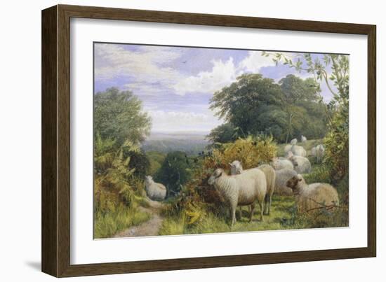 High Pasture-G. Shalders-Framed Giclee Print