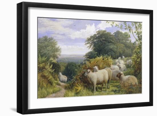 High Pasture-G. Shalders-Framed Giclee Print