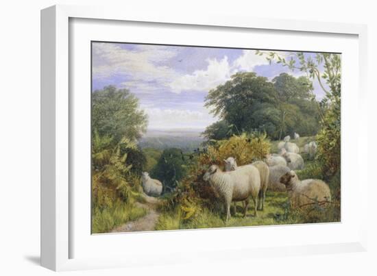 High Pasture-G. Shalders-Framed Giclee Print