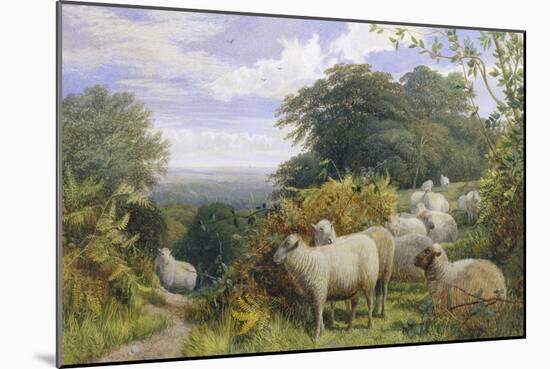 High Pasture-G. Shalders-Mounted Giclee Print