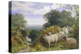 High Pasture-G. Shalders-Stretched Canvas