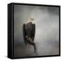 High Perch Bald Eagle-Jai Johnson-Framed Stretched Canvas