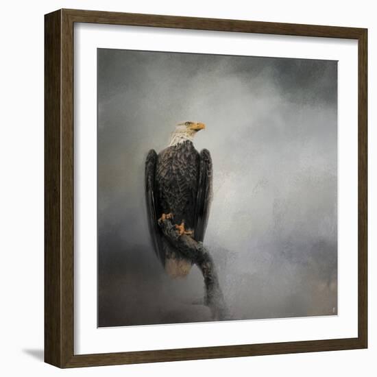 High Perch Bald Eagle-Jai Johnson-Framed Giclee Print