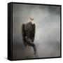 High Perch Bald Eagle-Jai Johnson-Framed Stretched Canvas