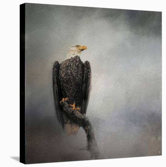 High Perch Bald Eagle-Jai Johnson-Stretched Canvas