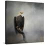 High Perch Bald Eagle-Jai Johnson-Stretched Canvas