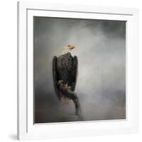 High Perch Bald Eagle-Jai Johnson-Framed Giclee Print