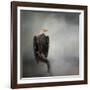 High Perch Bald Eagle-Jai Johnson-Framed Giclee Print