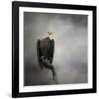 High Perch Bald Eagle-Jai Johnson-Framed Giclee Print