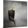 High Perch Bald Eagle-Jai Johnson-Mounted Giclee Print