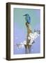 High Perch-Joh Naito-Framed Giclee Print