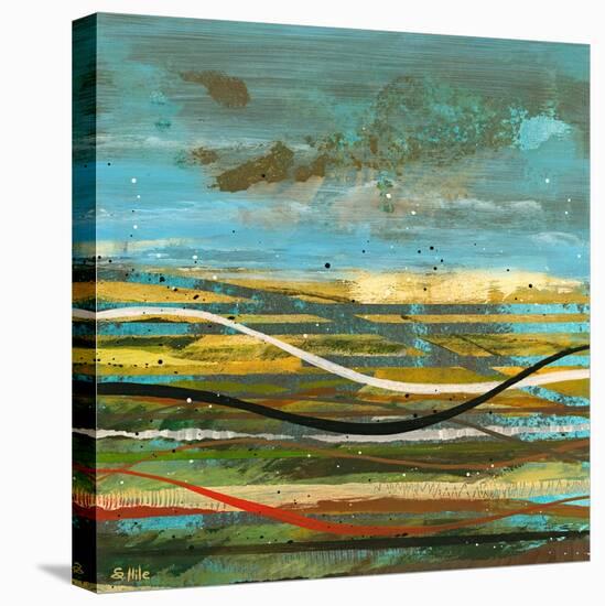 High Plains 3-Scott Hile-Stretched Canvas