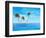 High Resolution Concept Or Conceptual Isolated Exotic Island With Palm Trees And Hammock-bestdesign36-Framed Photographic Print