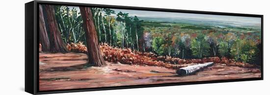 High Ridge, 2009, (oil on canvas)-Helen White-Framed Stretched Canvas