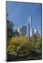 High-Rise Buildings Along from Inside Central Park on a Sunny Fall Day, New York-Greg Probst-Mounted Photographic Print