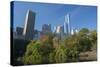 High-Rise Buildings Along from Inside Central Park on a Sunny Fall Day, New York-Greg Probst-Stretched Canvas