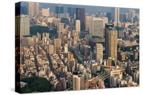 High-rises in downtown Tokyo, Japan-Keren Su-Stretched Canvas