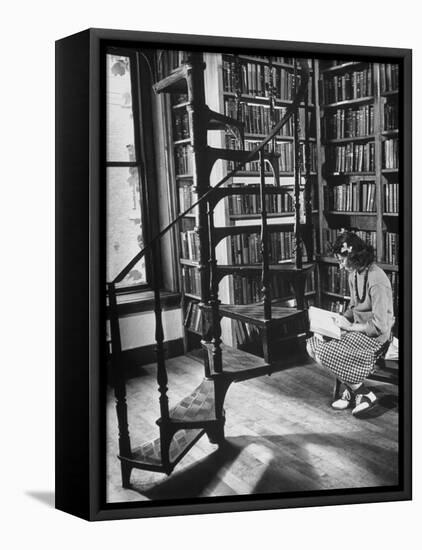High School Girl Reading at the Newburyport Free Library-Alfred Eisenstaedt-Framed Stretched Canvas