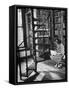 High School Girl Reading at the Newburyport Free Library-Alfred Eisenstaedt-Framed Stretched Canvas