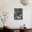 High School Girl Reading at the Newburyport Free Library-Alfred Eisenstaedt-Framed Stretched Canvas displayed on a wall