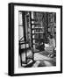High School Girl Reading at the Newburyport Free Library-Alfred Eisenstaedt-Framed Premium Photographic Print