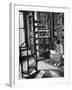 High School Girl Reading at the Newburyport Free Library-Alfred Eisenstaedt-Framed Photographic Print