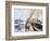 High Seas, 1990s-James Brereton-Framed Giclee Print