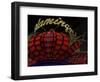 High Section View of a Casino, Flamingo Casino, Las Vegas, Nevada, USA-null-Framed Photographic Print