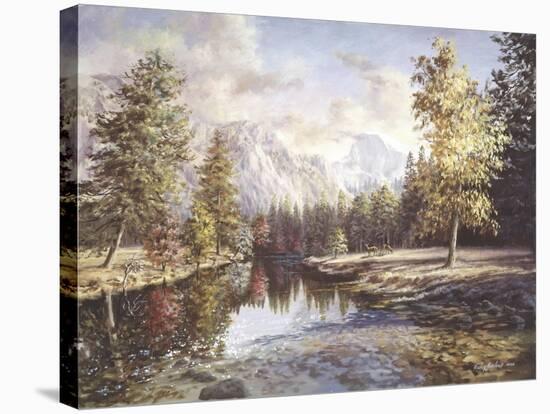 High Sierras-Nicky Boehme-Stretched Canvas