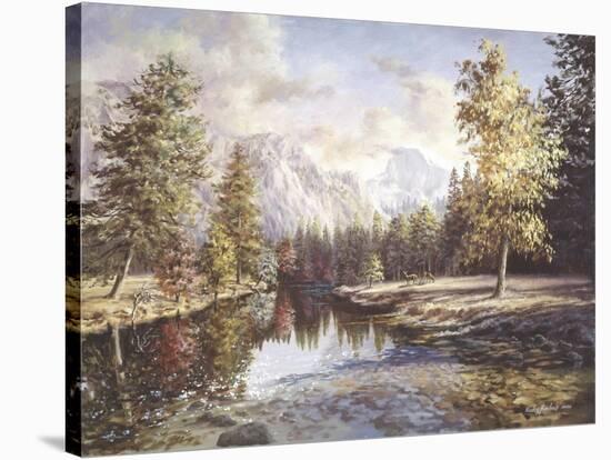High Sierras-Nicky Boehme-Stretched Canvas